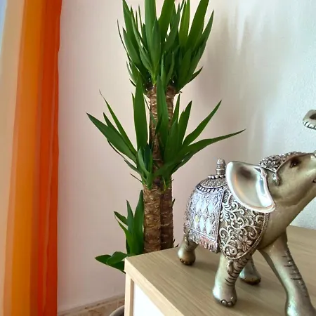 Charmantes Studio Mit Meerblick Nahe La Mata Beach Apartamento